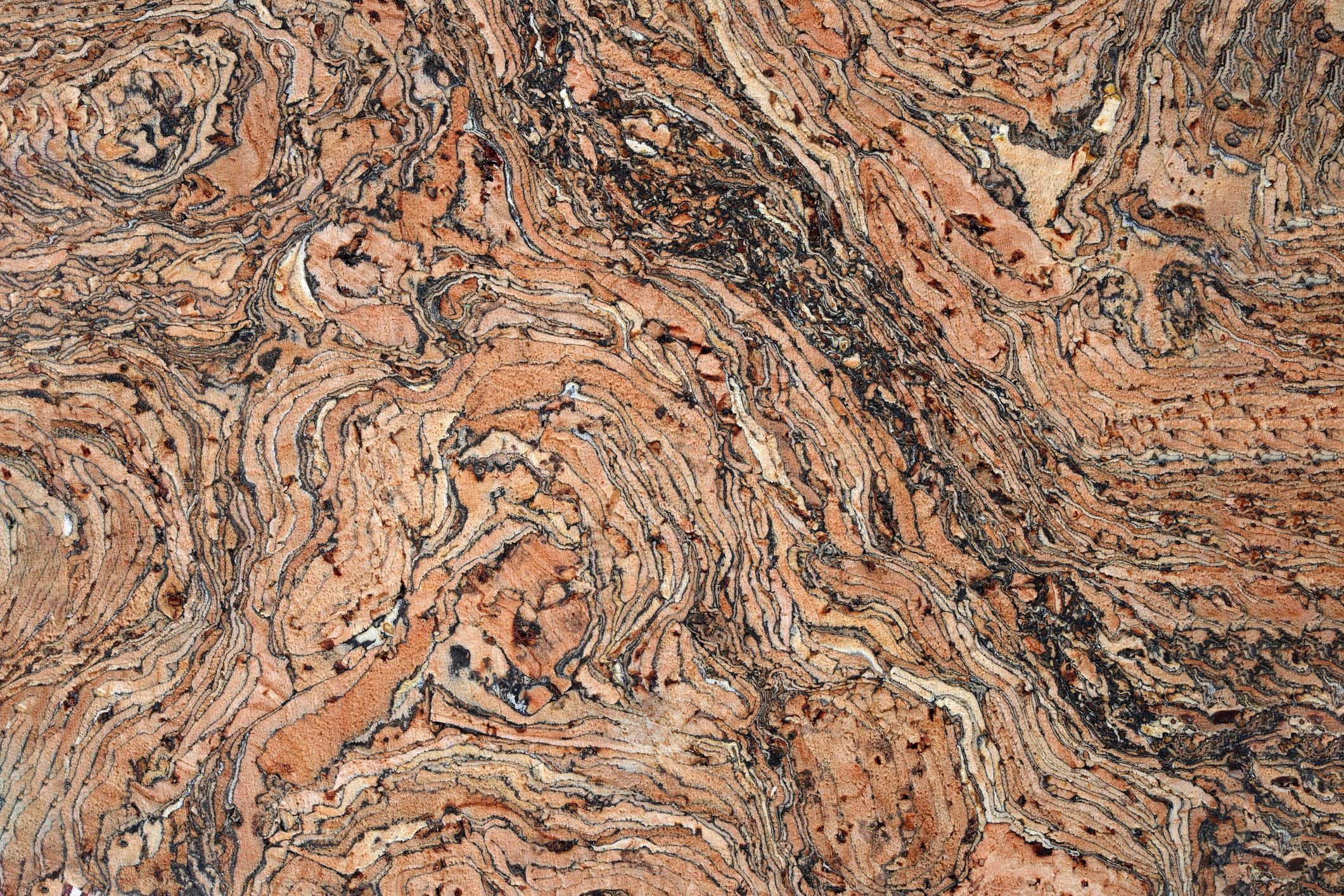 Abstract cork background texture with organic swirls